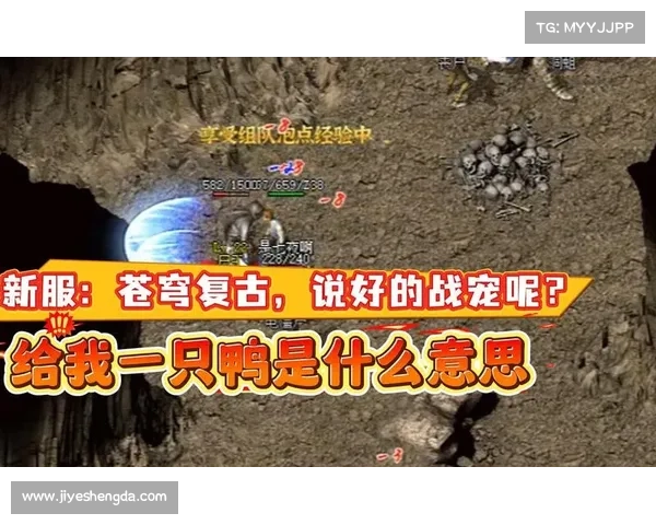 驭兽为盟开启传奇征途书写属于你的不灭战宠史诗