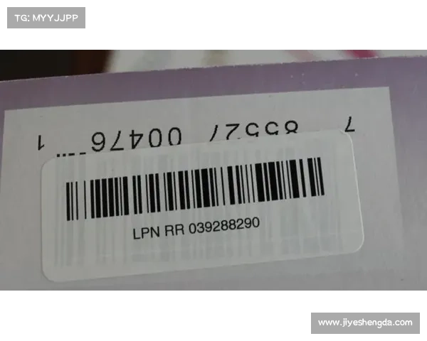 安联赞助商合作成功经验与品牌共赢最佳实践指南